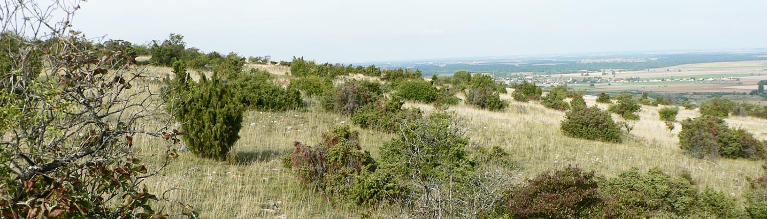 Communauté de communes de Gevrey-Chambertin et de Nuits-Saint-Georges